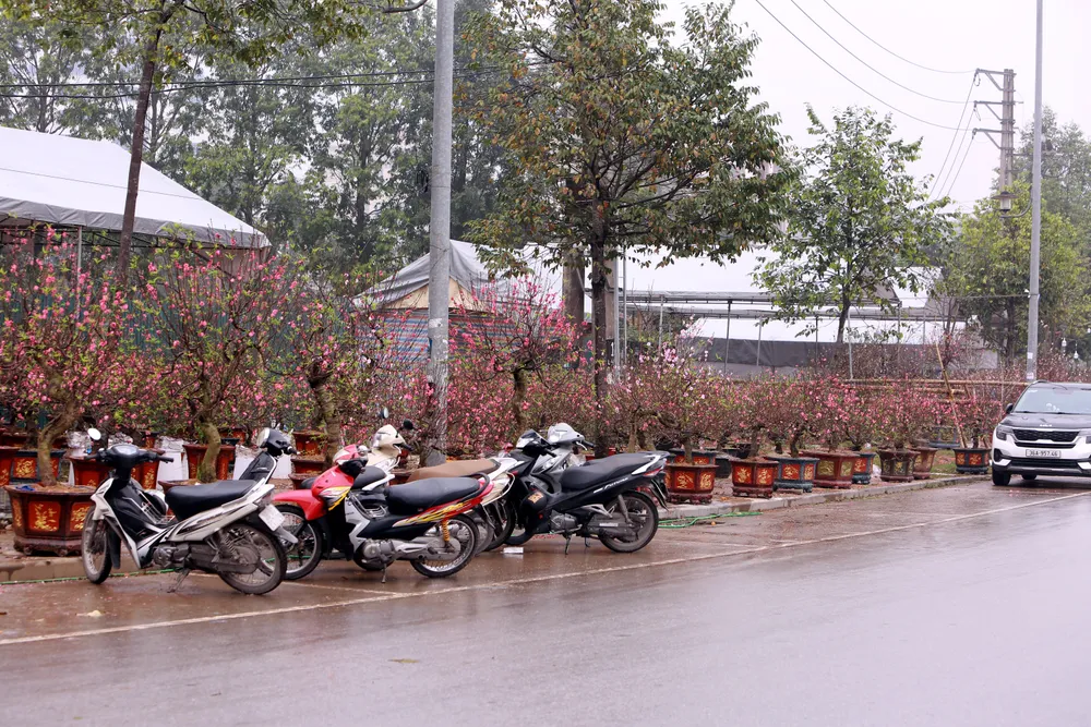 Những phận người mưu sinh ngày cận Tết-20.JPG