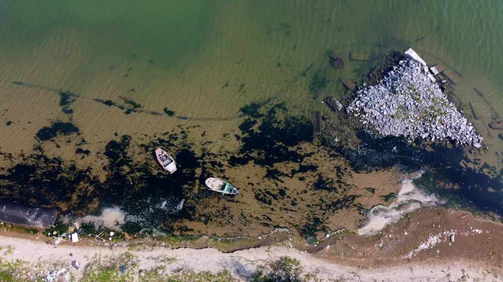 Có một nơi biển thôi “nuốt” làng ở Thanh Hóa -21.JPG