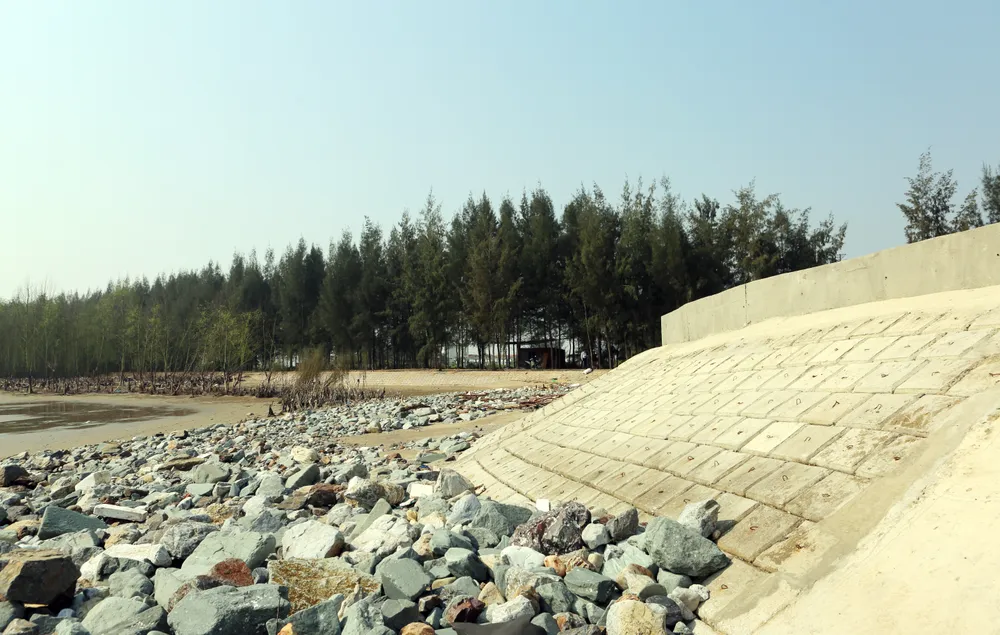 Có một nơi biển thôi “nuốt” làng ở Thanh Hóa 5.JPG