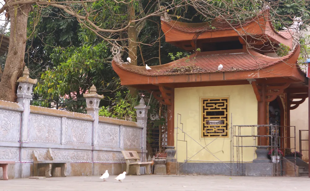 Về nơi tiếng gà gáy 5 huyện ở Thanh Hóa đều nghe - 1.JPG