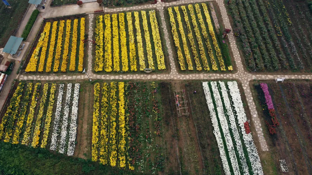 Về nơi tiếng gà gáy 5 huyện ở Thanh Hóa đều nghe - 17.JPG