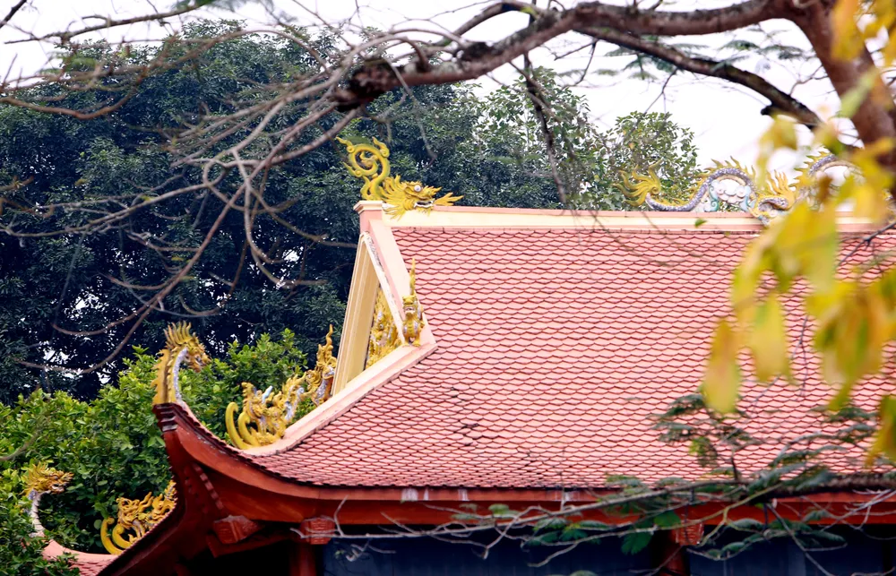 Về nơi tiếng gà gáy 5 huyện ở Thanh Hóa đều nghe - 2.JPG