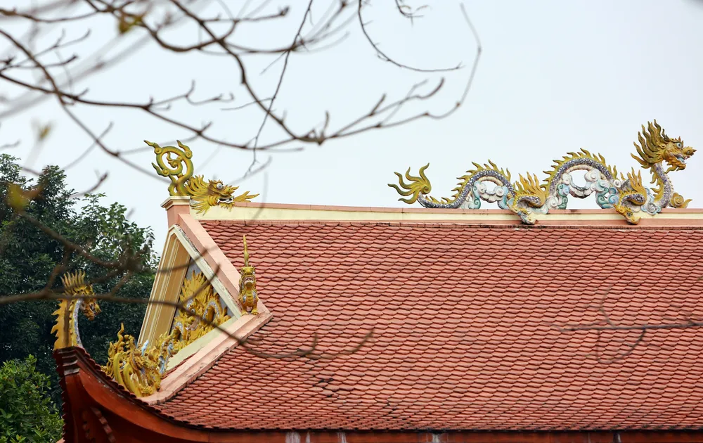 Về nơi tiếng gà gáy 5 huyện ở Thanh Hóa đều nghe - 3.JPG