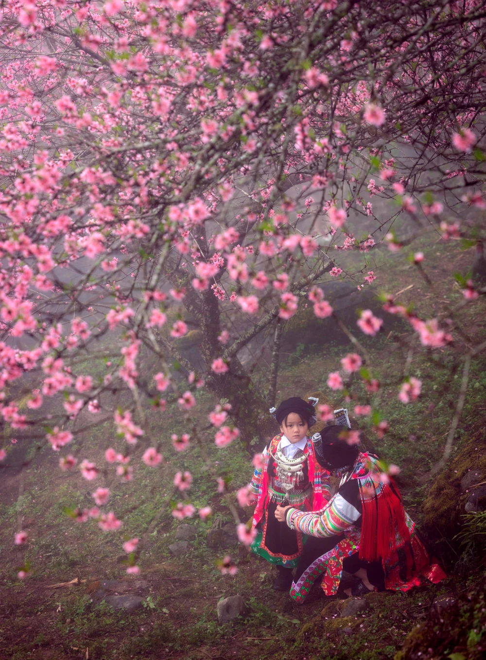 Lạc bước ở thiên đường Cao Mã Pờ - 8.jpg