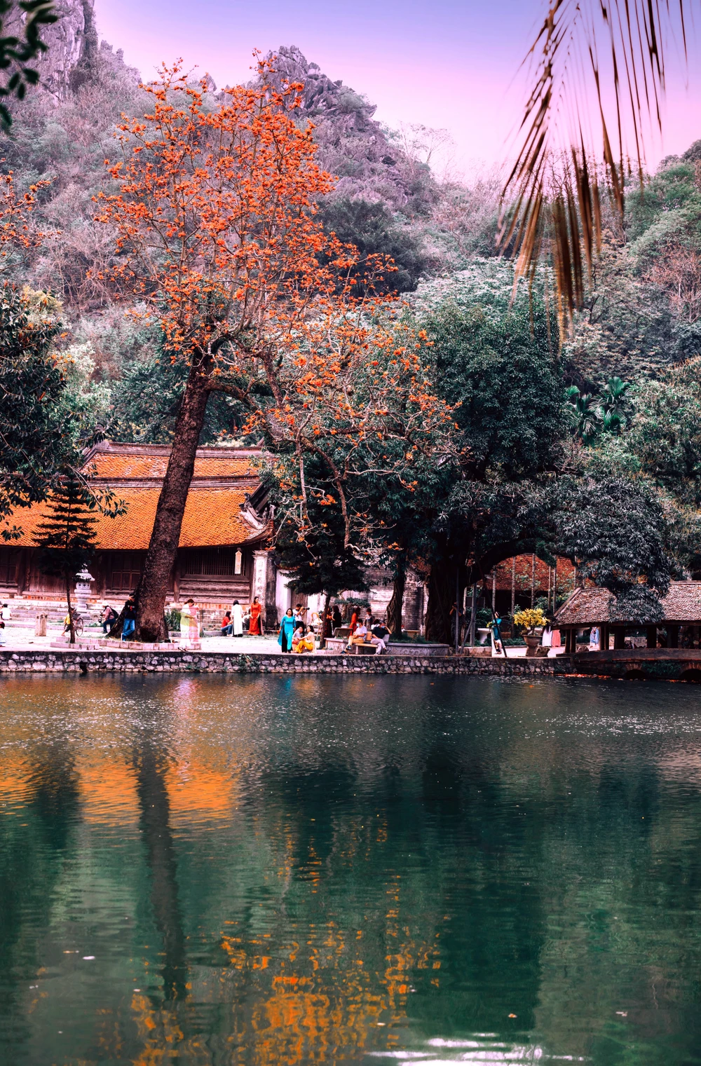 Ngắm hoa gạo nở đỏ rực bên ngôi chùa ngàn năm tuổi ở Hà Nội -4.jpg