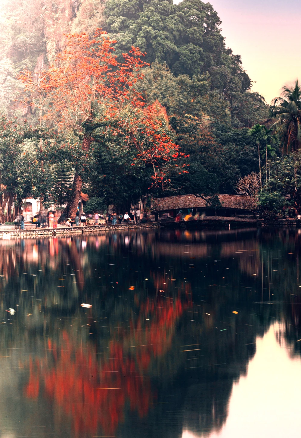 Ngắm hoa gạo nở đỏ rực bên ngôi chùa ngàn năm tuổi ở Hà Nội -5.jpg