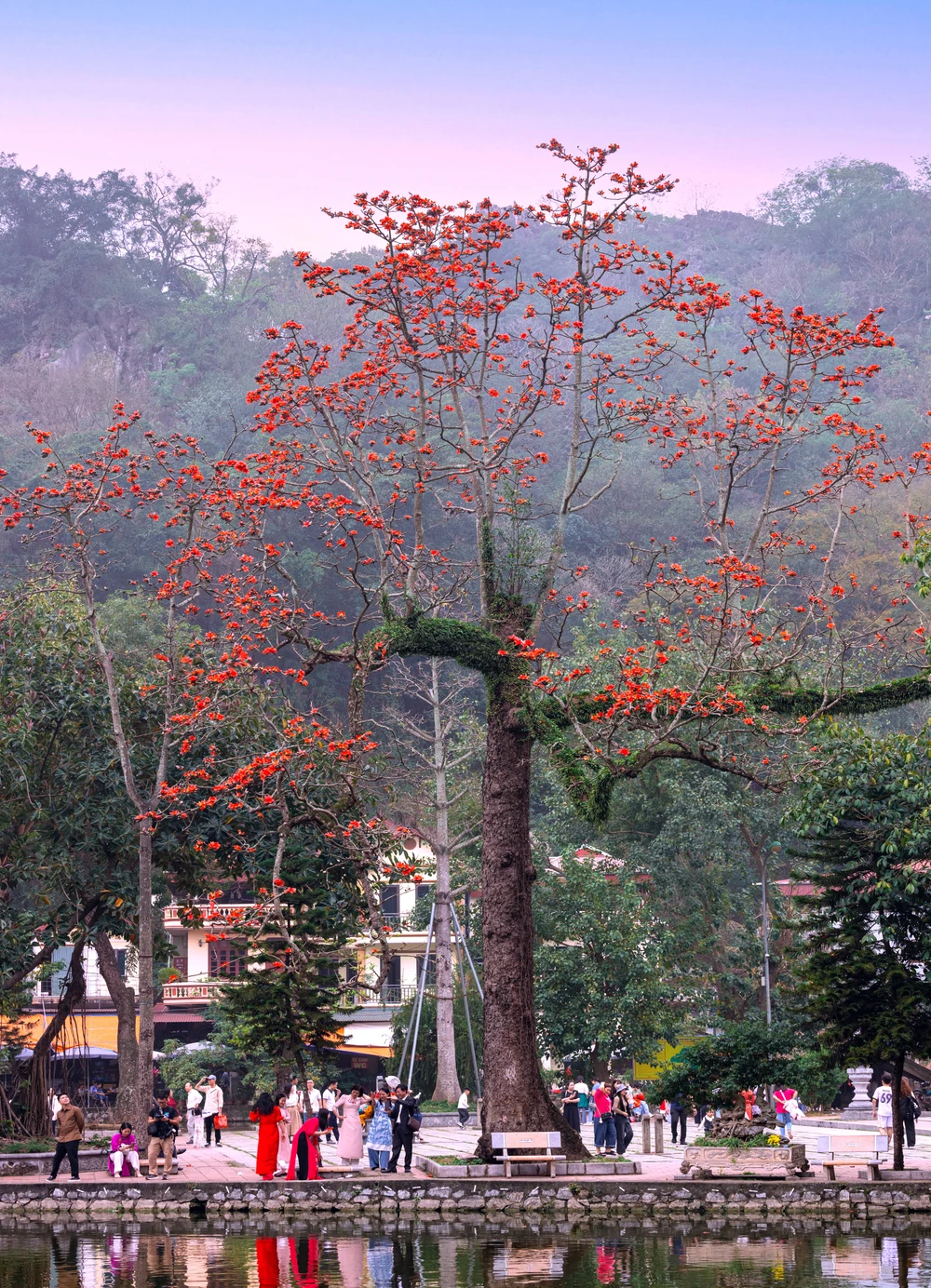 Ngắm hoa gạo nở đỏ rực bên ngôi chùa ngàn năm tuổi ở Hà Nội -8.jpg