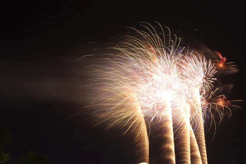 z5390484335252_ea6ba9474f077ae18f3da959c08bb982 (1).jpg