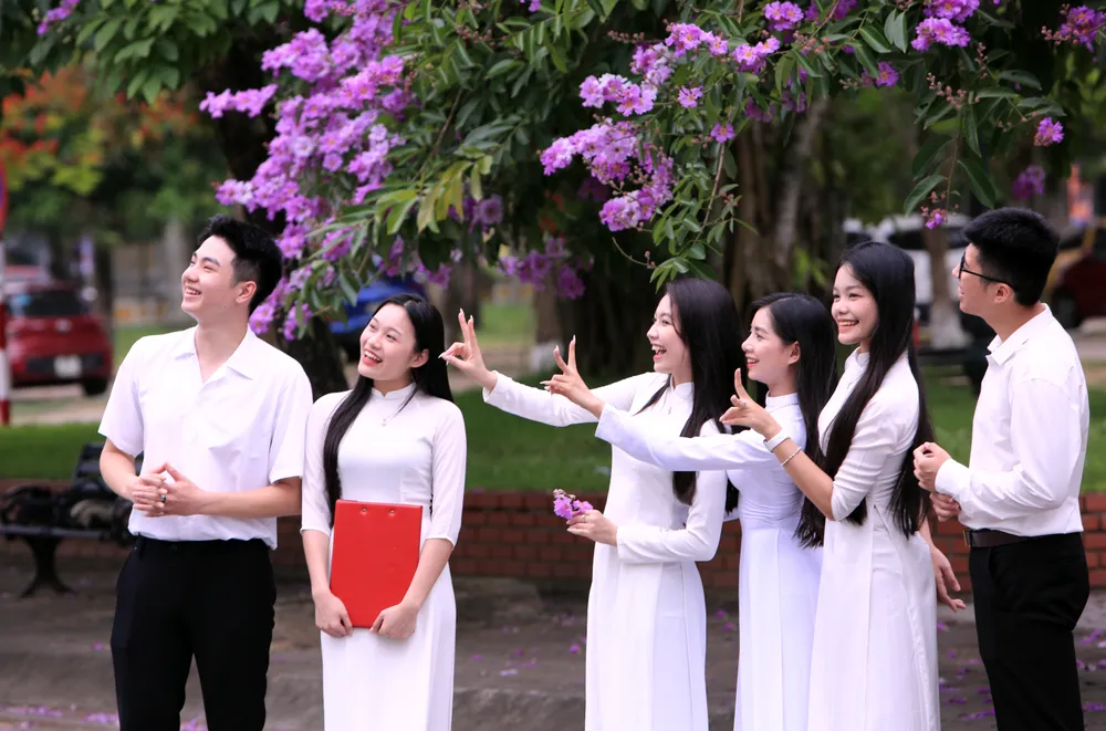 Những bóng hồng trong mùa hoa băng tím nở rộ ở Thanh Hóa - 10.JPG