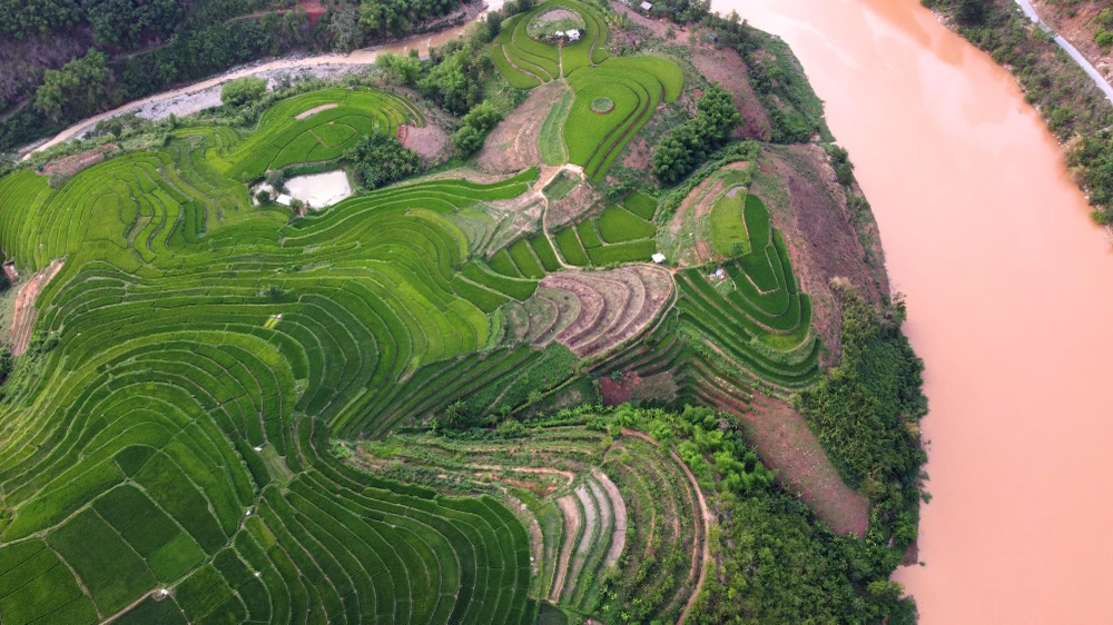 Chiêm ngưỡng vẻ đẹp những thửa ruộng bậc thang ở huyện biên giới Mường Lát -10.JPG