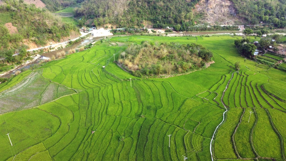 Chiêm ngưỡng vẻ đẹp những thửa ruộng bậc thang ở huyện biên giới Mường Lát -2.JPG