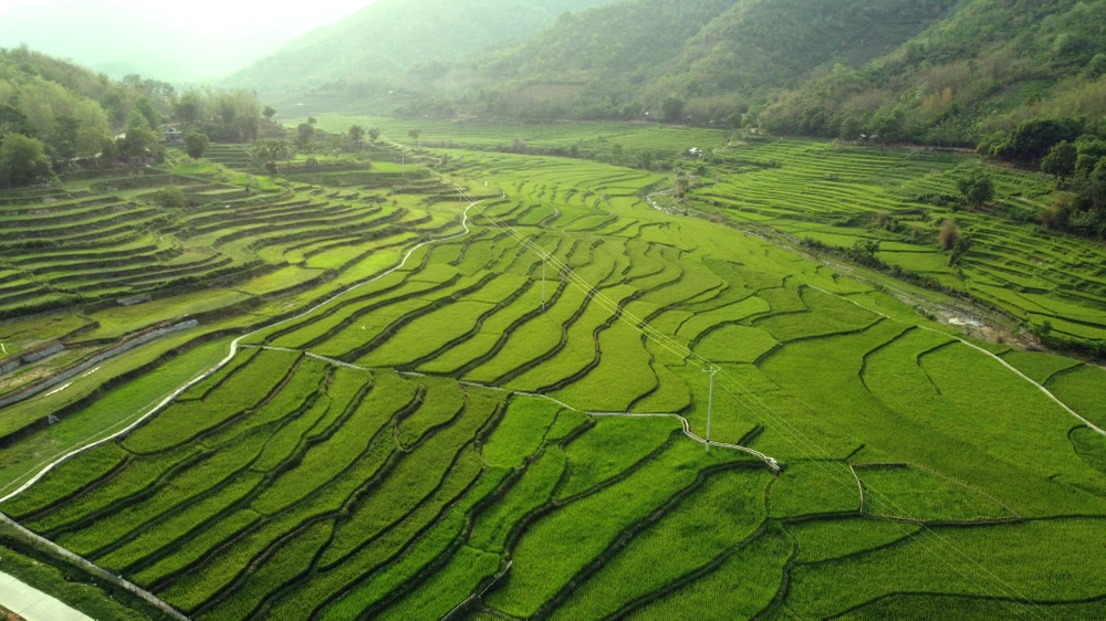 Chiêm ngưỡng vẻ đẹp những thửa ruộng bậc thang ở huyện biên giới Mường Lát -4.JPG