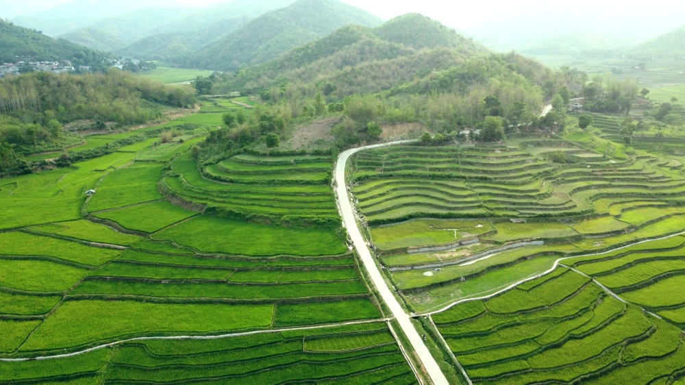 Chiêm ngưỡng vẻ đẹp những thửa ruộng bậc thang ở huyện biên giới Mường Lát -7.JPG