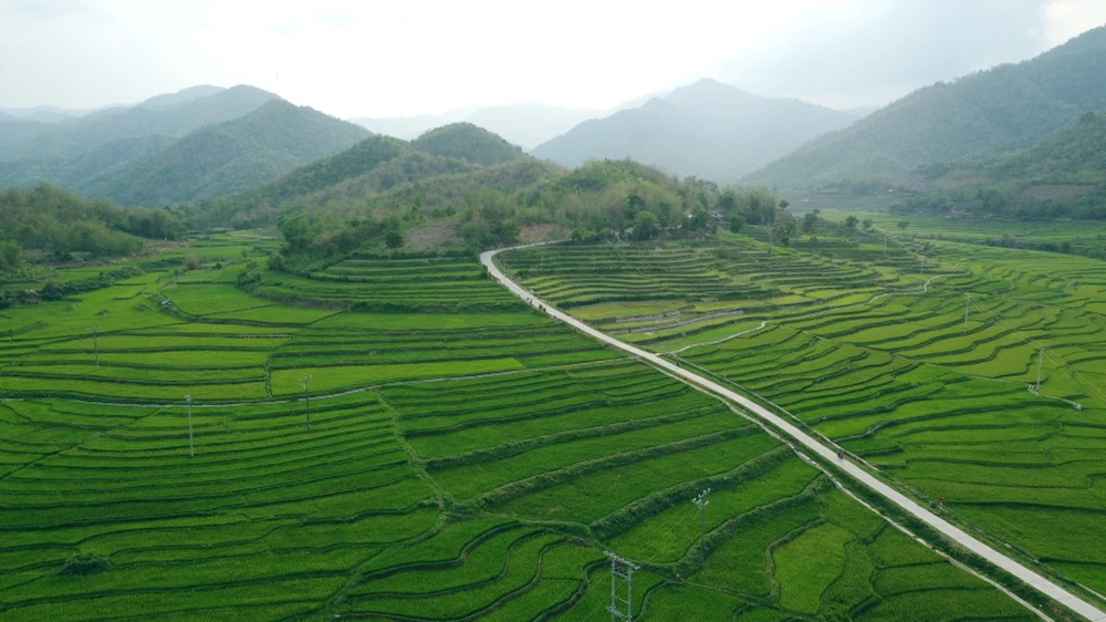 Chiêm ngưỡng vẻ đẹp những thửa ruộng bậc thang ở huyện biên giới Mường Lát -8.JPG