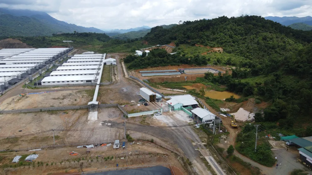 Trang trại nuôi heo phán tán mùi hôi thối, khiến người dân bức xúc phản ánh. Ảnh: ĐẶNG TRUNG Hàng ngàn người dân “sống chung” với mùi hôi thối từ trang trại nuôi heo - 2.jpg