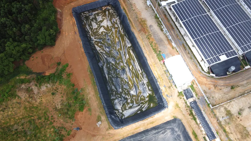 Bể chứa trong khu trang trại nuôi heo của Công ty Agri-Vina. Ảnh: ĐẶNG TRUNG Hàng ngàn người dân “sống chung” với mùi hôi thối từ trang trại nuôi heo -6.jpg