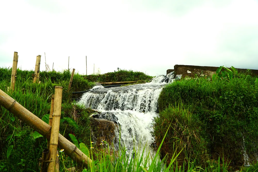 Khung cảnh thơ mộng ruộng bậc thang lung linh nối dài đến chân trời - 15.JPG