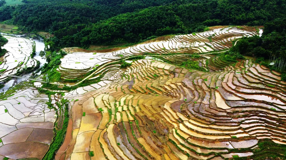 Khung cảnh thơ mộng ruộng bậc thang lung linh nối dài đến chân trời - 6.JPG