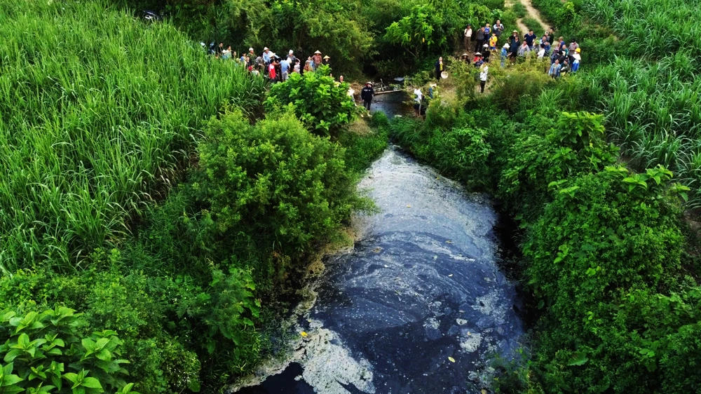Dòng kênh khe Sào nước đen ngòm. 1 trang trại nuôi heo ở Thanh Hóa bị dân tố gây ô nhiễm kênh nước -.jpg