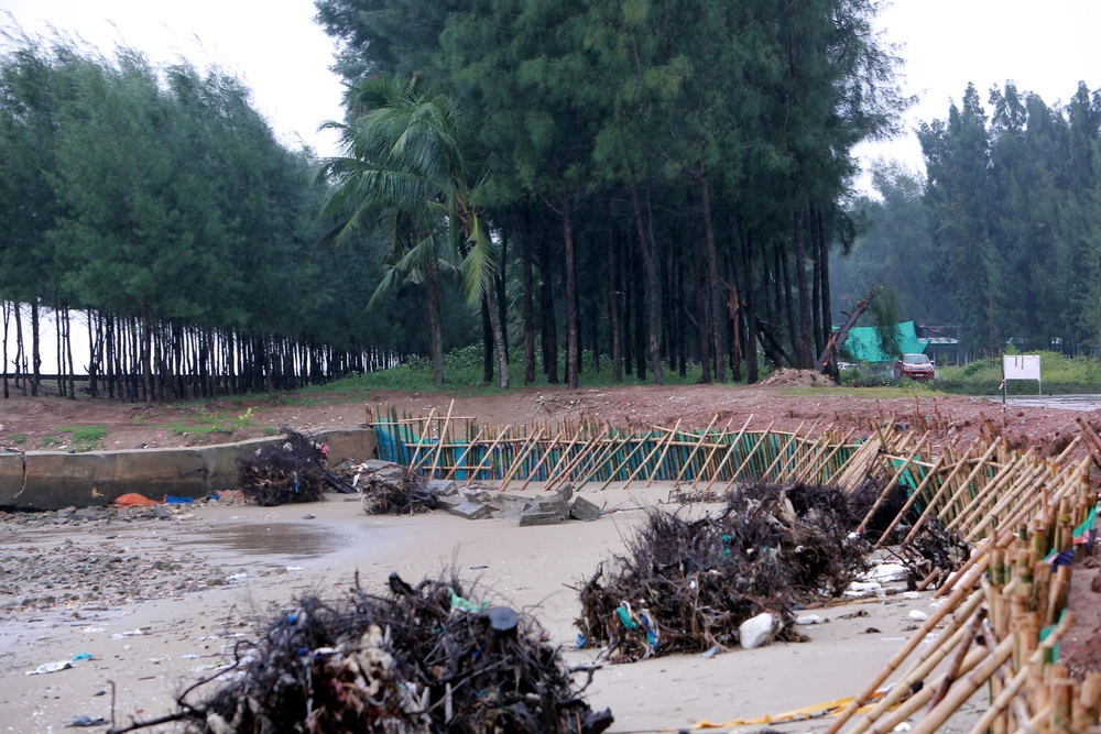 Sạt lở nghiêm trọng bên bờ biển ở Thanh Hóa, thứ trưởng Bộ Nông nghiệp trực tiếp kiểm tra -11.JPG