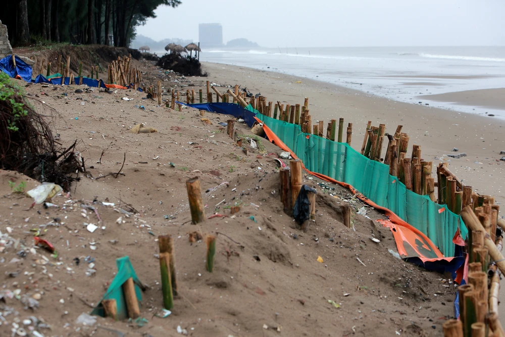 Sạt lở nghiêm trọng bên bờ biển ở Thanh Hóa, thứ trưởng Bộ Nông nghiệp trực tiếp kiểm tra -6.JPG