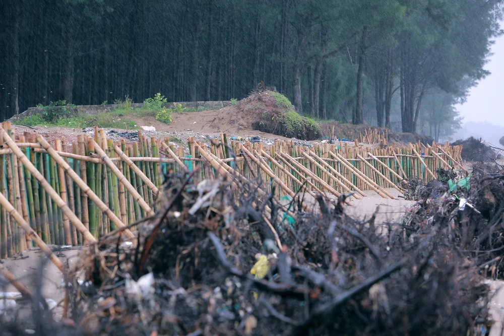 Sạt lở nghiêm trọng bên bờ biển ở Thanh Hóa, thứ trưởng Bộ Nông nghiệp trực tiếp kiểm tra -8.JPG