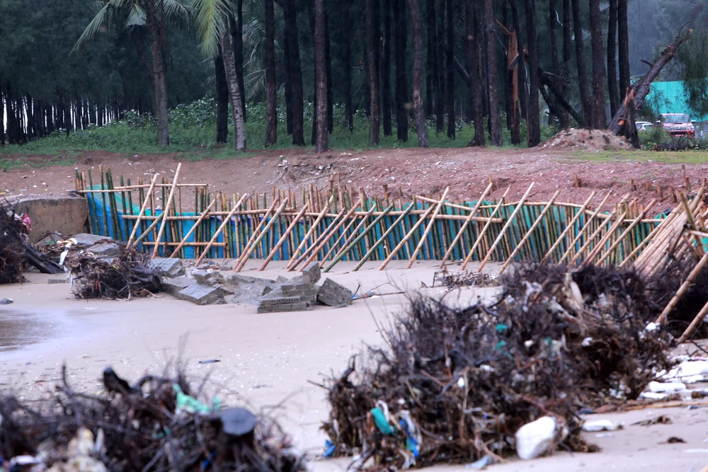 Sạt lở nghiêm trọng bên bờ biển ở Thanh Hóa, thứ trưởng Bộ Nông nghiệp trực tiếp kiểm tra -9.JPG