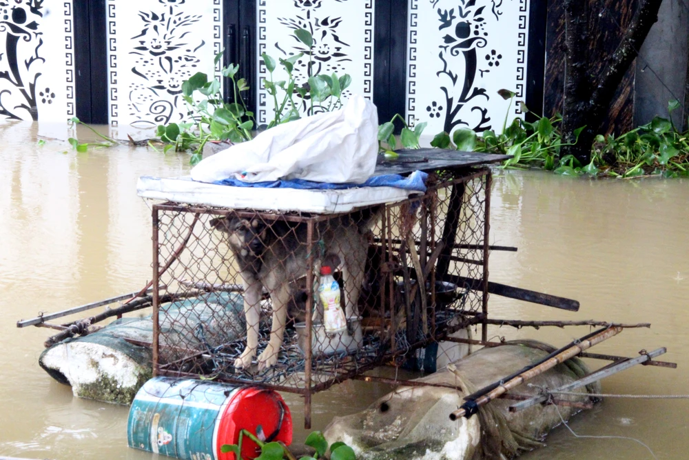 Hình ảnh hàng trăm hộ dân ở ninh Bình ngập sâu trong lũ sau bão số 3 - 2.jpg