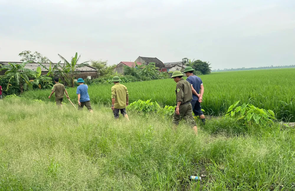 Lực lượng chức năng tìm kiếm 3 đứa trẻ mất tích ở các khu vực ao hồ, ruộng lúa, bến đò....Ảnh: ĐT Tìm thấy 3 đứa trẻ mất tích ở Ninh Bình sau 3 ngày mất tích - 3.jpg