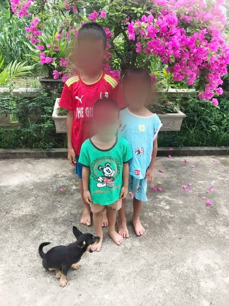 Hình ảnh 3 đứa trẻ trước khi mất tích được Công an huyện Kim Sơn đăng tải thông báo mất tích. Ảnh: ĐT Tìm thấy 3 đứa trẻ mất tích ở Ninh Bình sau 3 ngày mất tích - 4.jpg