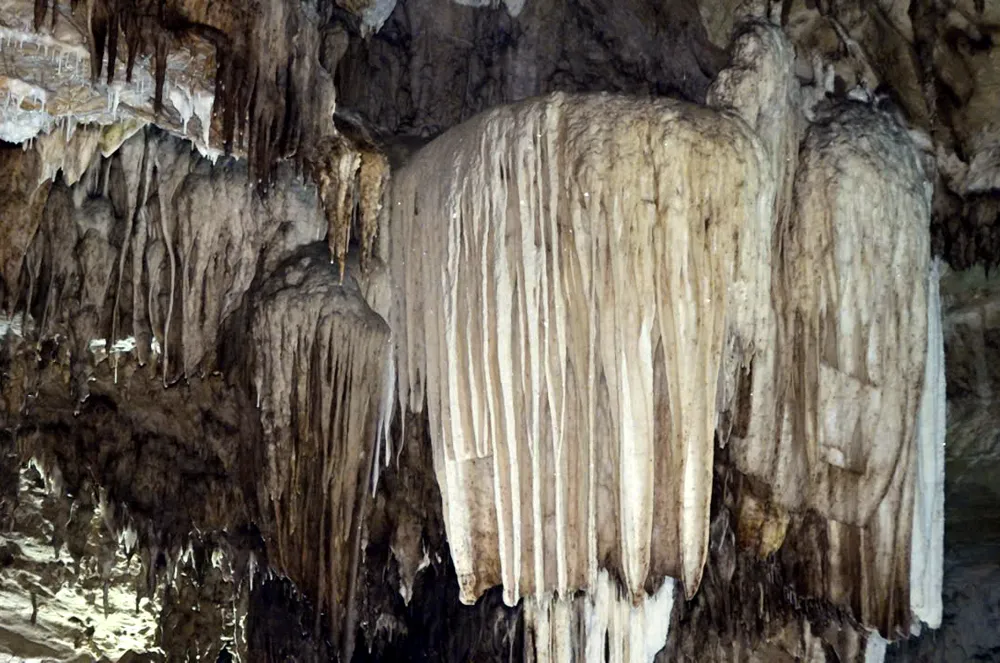 Động Bo Cúng 8.jpg