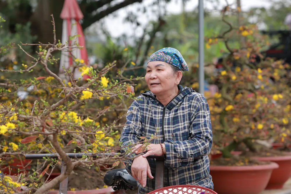 Thương lái buôn đào quất mòn mỏi chờ người mua chơi Tết Nguyên Đán -12.JPG