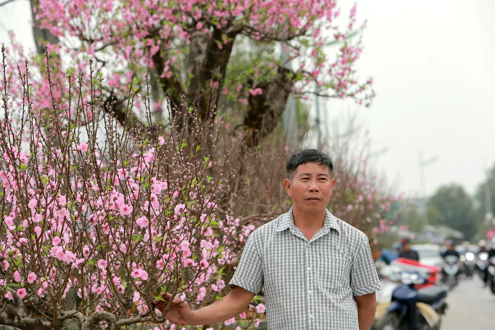 Thương lái buôn đào quất mòn mỏi chờ người mua chơi Tết Nguyên Đán -8.JPG