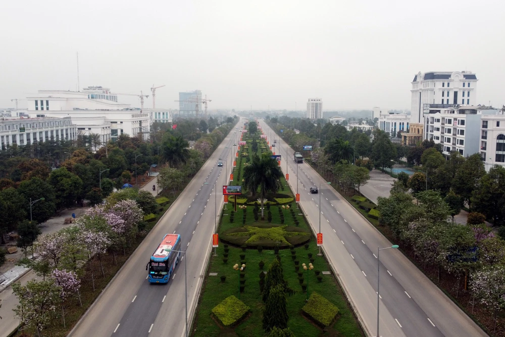 Ngắm hoa ban Tây Bắc nở rộ rực rỡ giữa lòng xứ Thanh - 2.JPG