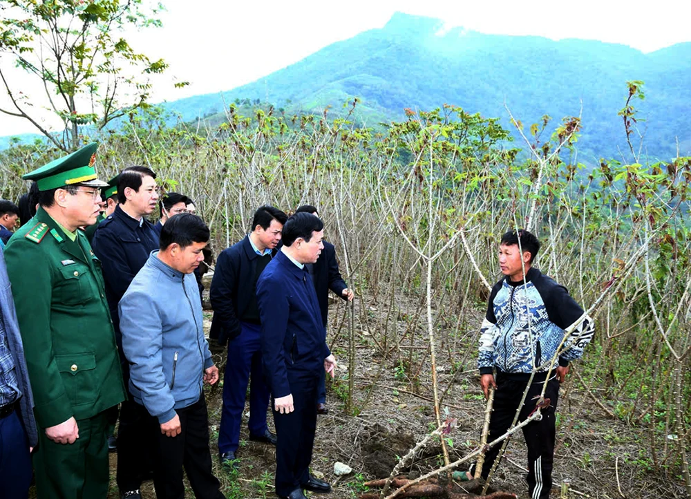 Ông Lại Thế Nguyên-Phó Bí thư Thường trực Tỉnh ủy tỉnh Thanh Hóa cùng nhiều cán bộ ngành, địa phương khảo sát thực tế tình hình thu hoạch sắn tại xã Nhi Sơn, Mường Lát. ‘Vàng trắng’ rớt giá, Thanh Hóa tìm giải pháp -15.jpg