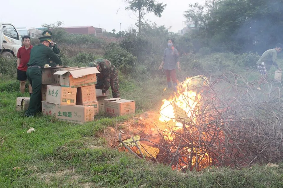 Tiêu hủy 15.000 trứng gà Trung Quốc ảnh 2 Tiêu hủy 15.000 trứng gà Trung Quốc ảnh 2