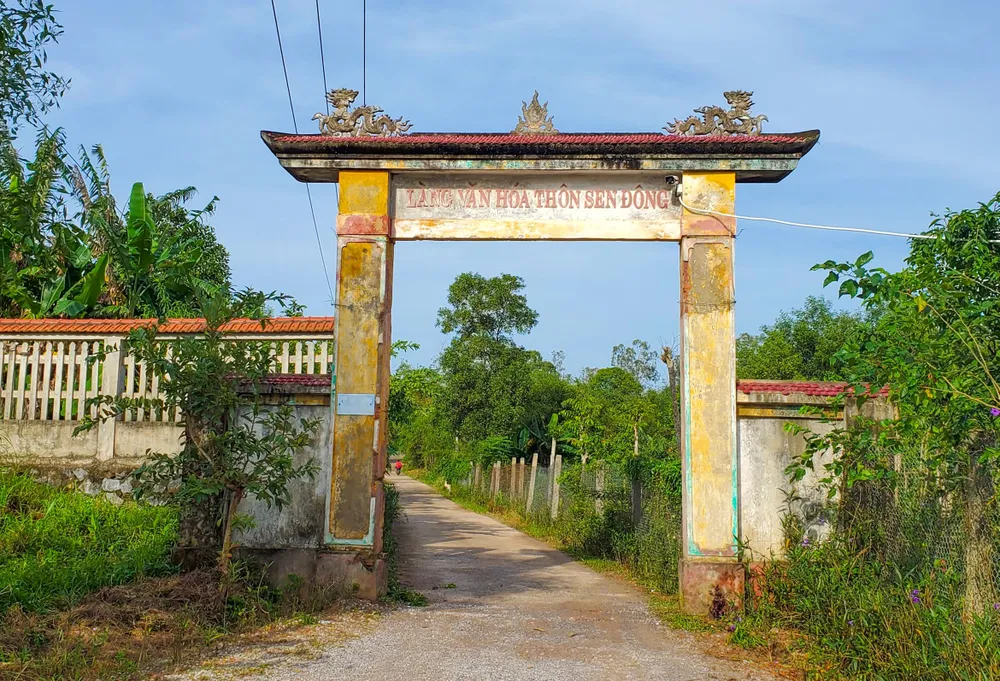 Đường vào khu vực rừng bị khai thác, chặt phá. Ảnh: BẢO THIÊN