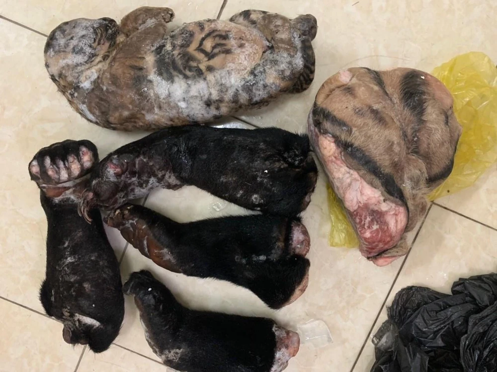 Tang vật được lực lượng chức năng thu giữ. Ảnh: Cục QLTT Quảng Bình