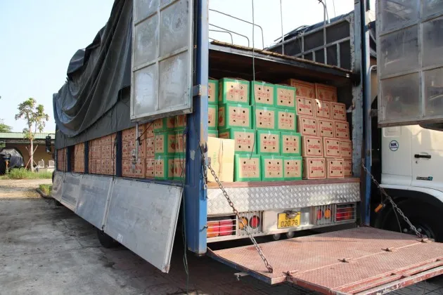 Gần 900 chai rượu ngoại được nguỵ trang trong các thùng trái cây. Ảnh: CA Gần 900 chai rượu ngoại được nguỵ trang trong các thùng trái cây. Ảnh: CA