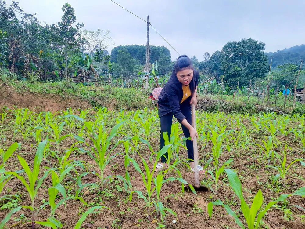 Năm 2018, chị Cao Thị Vân ứng cử chức Trưởng bản Kè khiến nhiều không khỏi bất ngờ. Ảnh: B.T