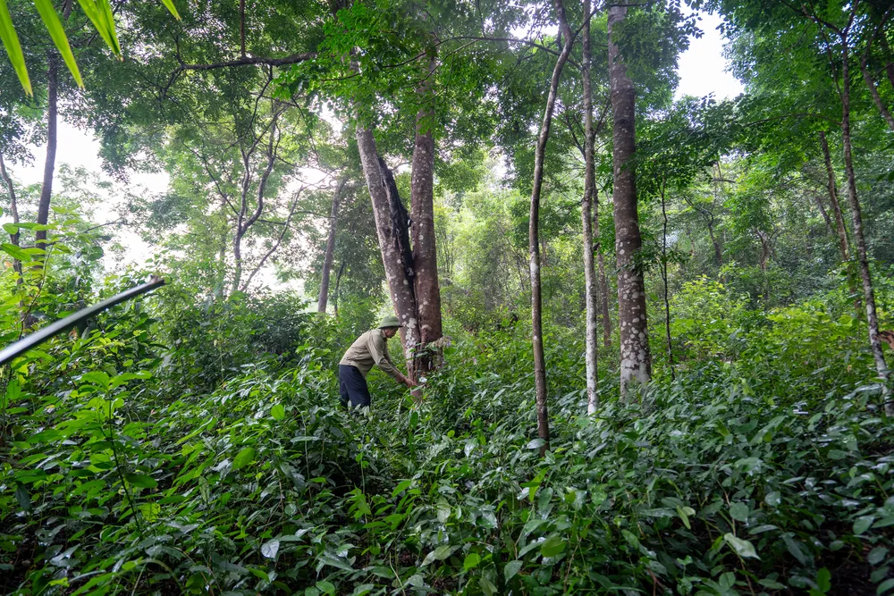 ve-dep-cua-vung-ron-lu-duoc-the-gioi-vinh-danh (11).JPG