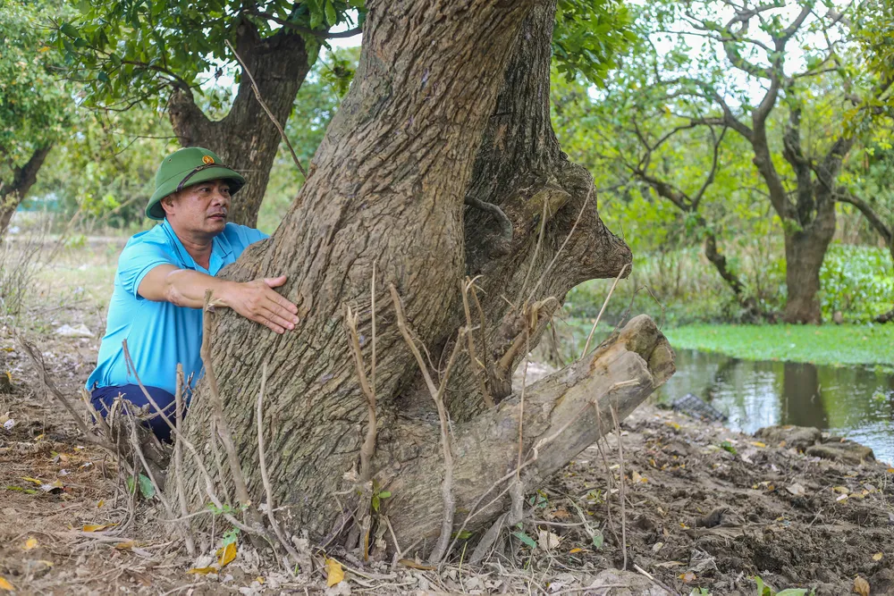 khu-rung-quy-o-quang-binh-voi-tuoi-doi-hon-400-nam (8).jpg