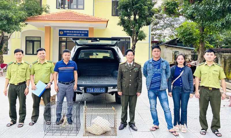 Người dân giao nộp cá thể chim ưng và trăn đất quý hiếm