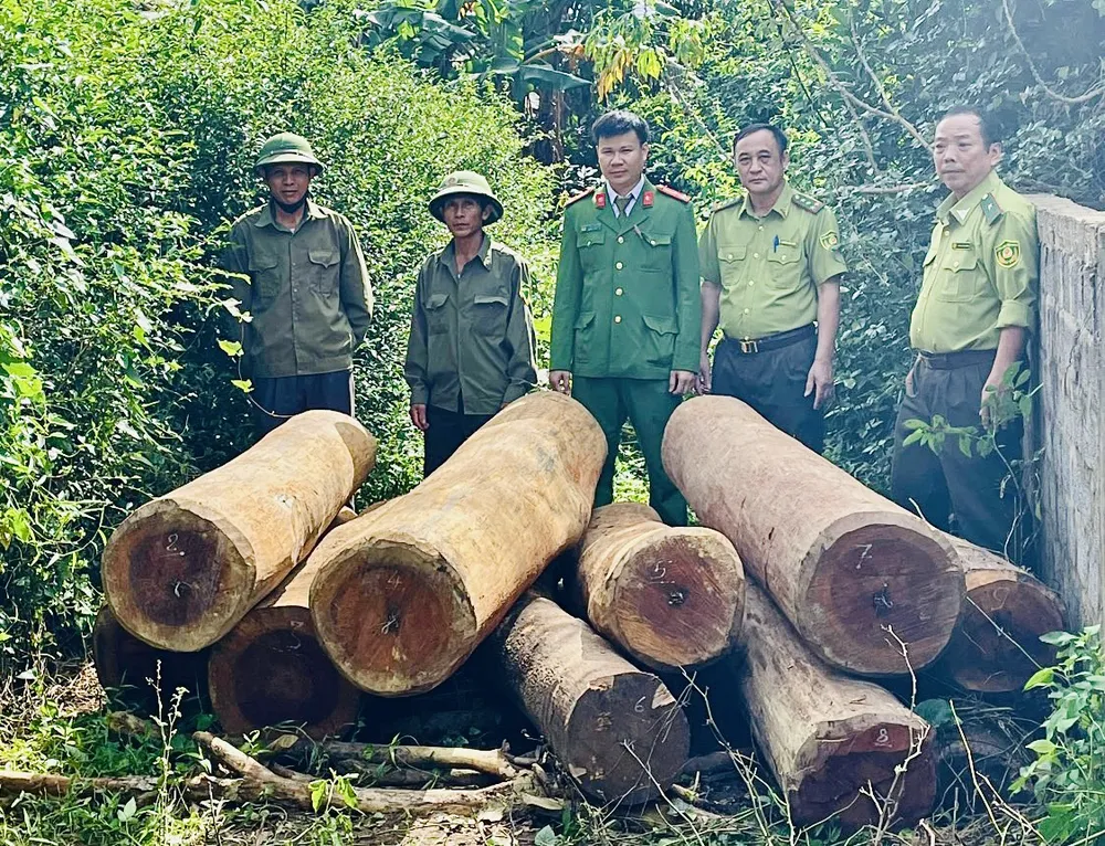 Công an Quảng Bình phát hiện nhiều vụ vận chuyển gỗ lậu trong ngày cuối tuần