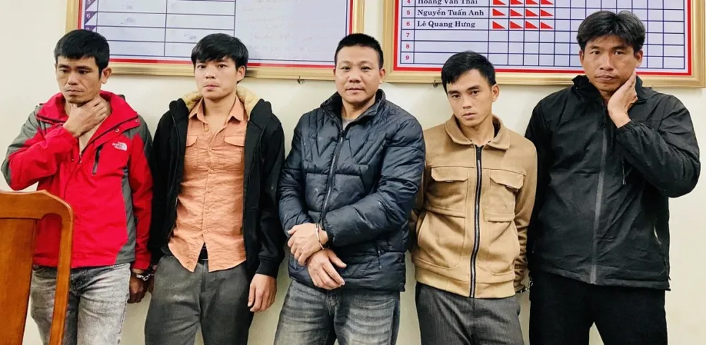 29 người vào rừng cắt trộm 40 tấn keo bán lấy tiền chia nhau và ăn nhậu