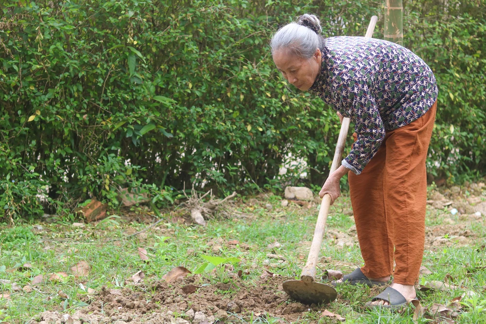Nguoi-50-nam-giu-lua-nha-luu-niem-dai-tuong-vo-nguyen-giap (2).JPG
