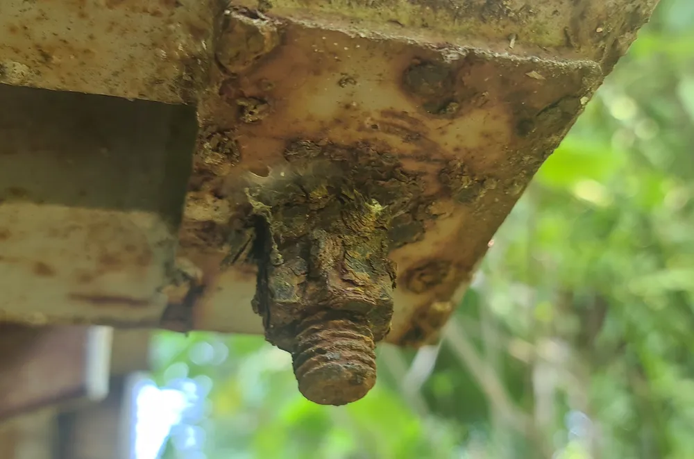 Nhiều đinh vít, thanh sắt tại các cầu treo bị gỉ sét sau thời gian dài sử dụng. Ảnh: BẢO THIÊN 5.jpg