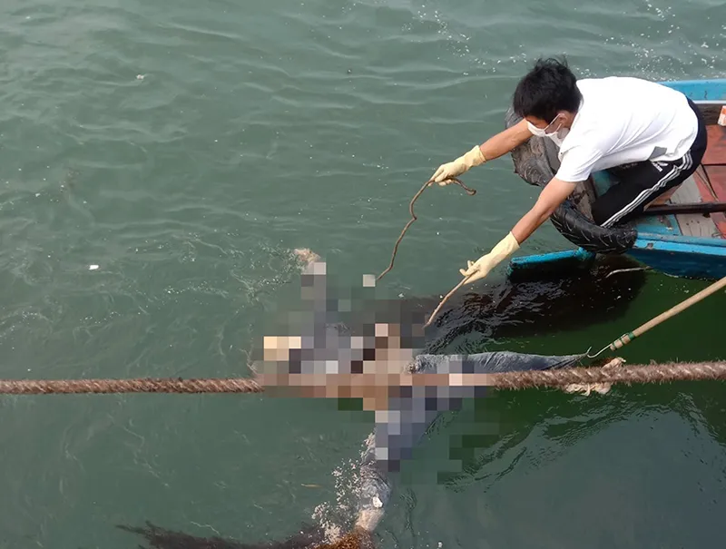 Người dân phát hiện thi thể đang phân hủy trong lúc đi câu mực. Ảnh: CTV Phát hiện thi thể người đàn ông đang phân hủy trong lúc đi câu mực