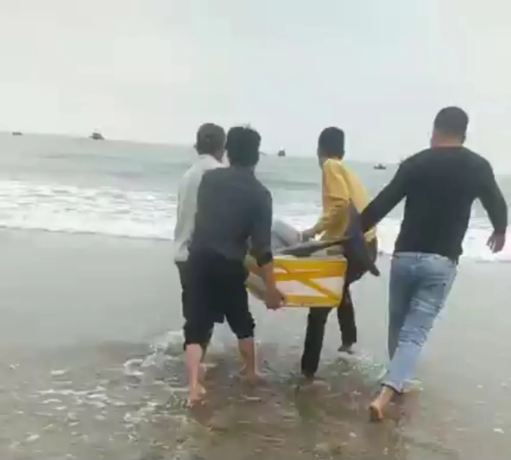 Người dân làng biển rủ nhau góp tiền mua cá heo sắp bị xẻ thịt để thả về tự nhiên