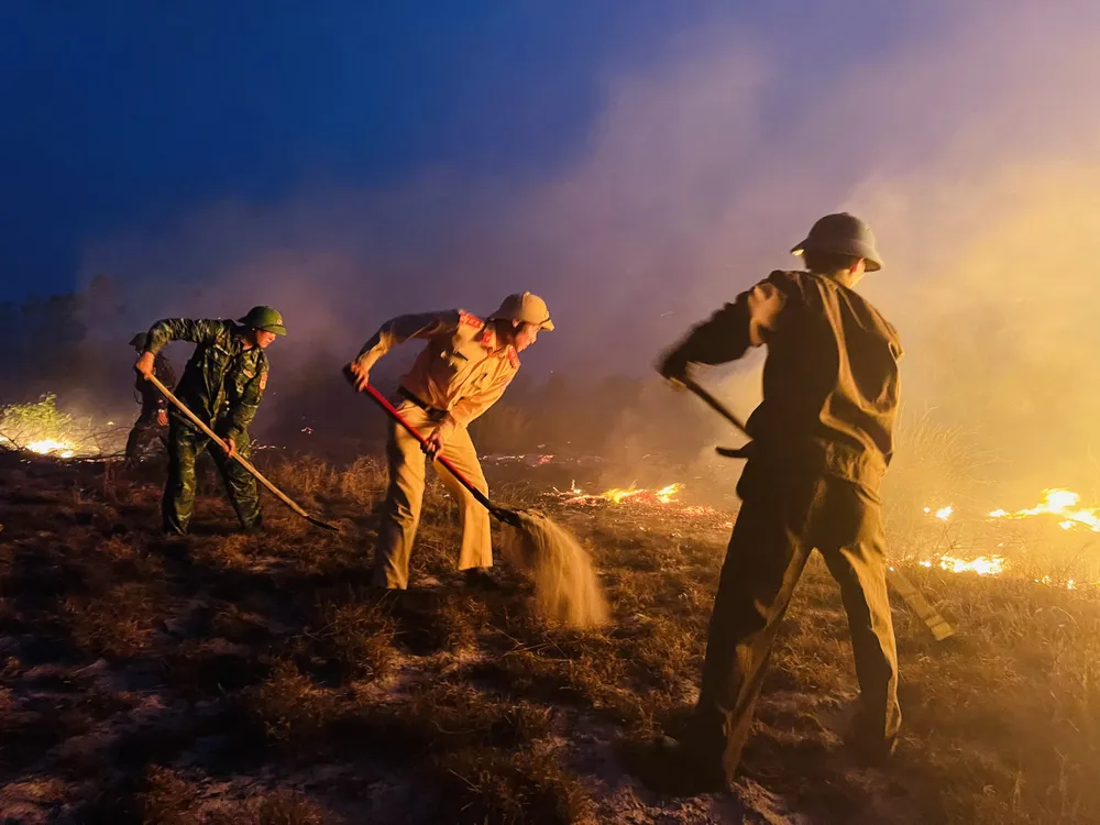 Quảng Bình: Cháy rừng ven biển dưới nắng nóng gay gắt